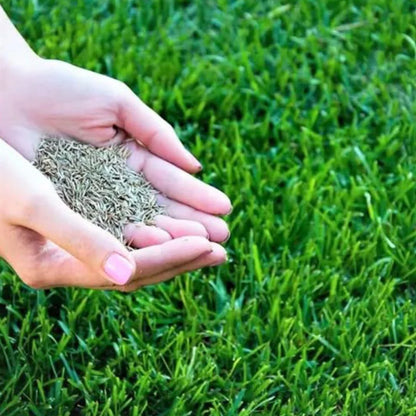 Evergreen Lawn Super Saver Gardening Kit 🌱