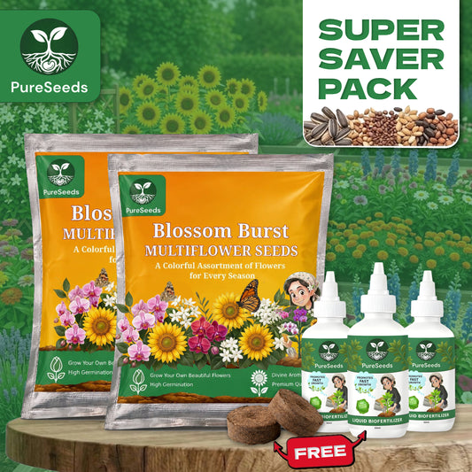 Premium Multi-Flower Seeds Gardening Kit🌺