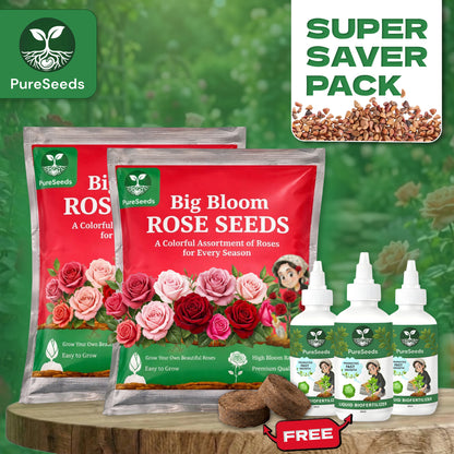 Super Saver Big Bloom Rose🌹Gardening Kit