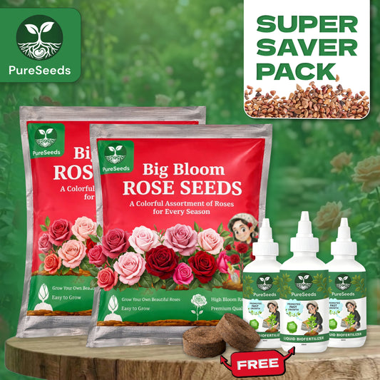 Super Saver Big Bloom Rose🌹Gardening Kit
