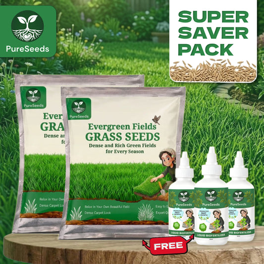 Evergreen Lawn Super Saver Gardening Kit 🌱