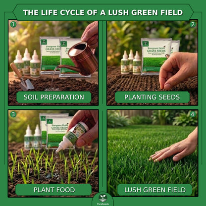 Evergreen Lawn Super Saver Gardening Kit 🌱
