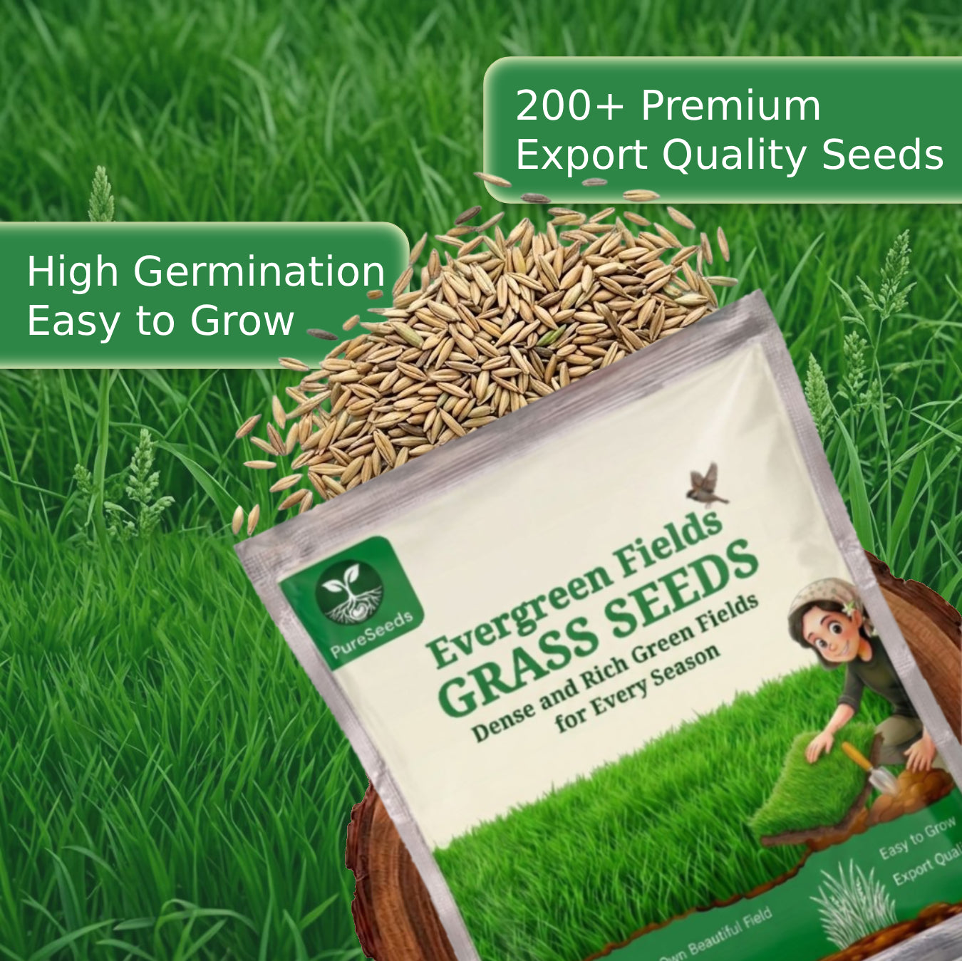 Evergreen Lawn Super Saver Gardening Kit 🌱