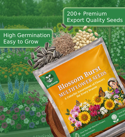 Mixed Flower Seeds Pack🌻