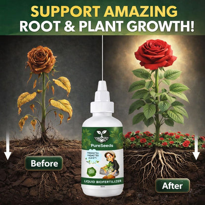 Premium Multi-Flower Seeds Gardening Kit🌺