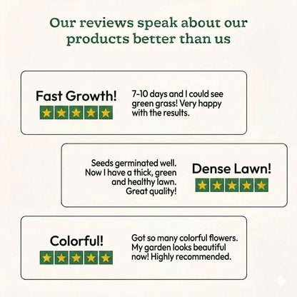 Evergreen Lawn Super Saver Gardening Kit 🌱